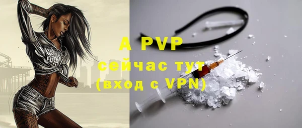 соль ск Алексин