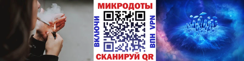 блэк спрут ссылка  хочу   Касимов  Галлюциногенные грибы MAGIC MUSHROOMS 
